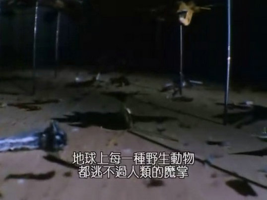 昆虫帝国 Alien Empire