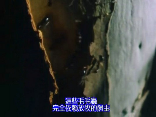 昆虫帝国 Alien Empire