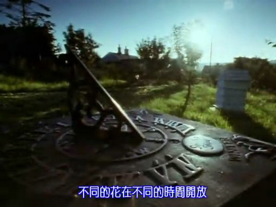 昆虫帝国 Alien Empire