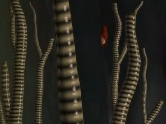 昆虫帝国 Alien Empire