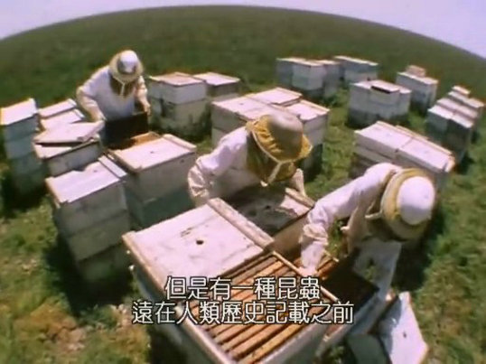 昆虫帝国 Alien Empire