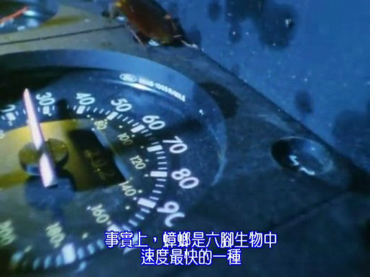 昆虫帝国 Alien Empire