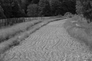 BBC自然界:铁幕下的生机 Iron Curtain: Ribbon of Life