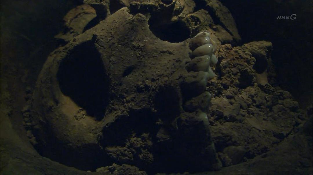 中国文明之谜 中国文明の謎