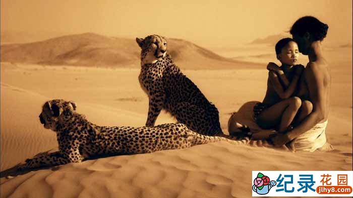 人与自然唯美纪录片《尘与雪 Ashes and Snow》全1集 720P/1080i高清纪录片百度云