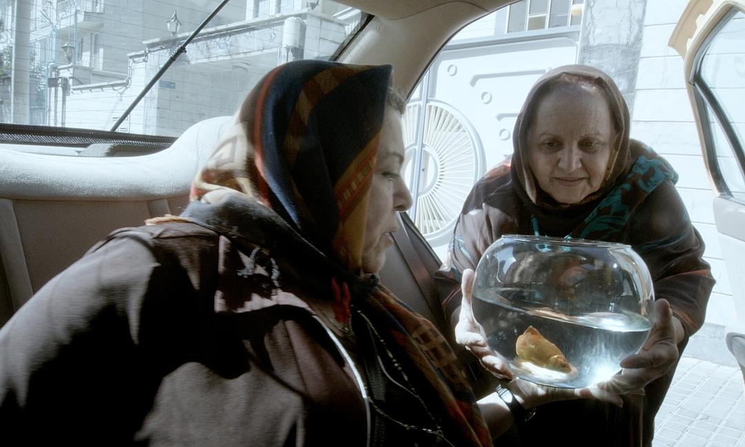 出租车 تاکسی