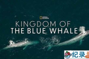 国家地理海洋生物纪录片《蓝鲸王国 Kingdom Of The Blue Whale》全1集中字 720P/1080i高清纪录片资源百度云盘下载