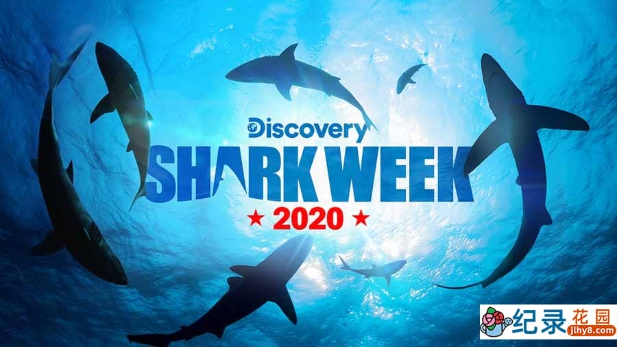 探索频道鲨鱼研究纪录片《鲨鱼周 2020 Shark Week》全28集中字 纪录片解说素材百度云盘下载 1080/MP4/61.4G