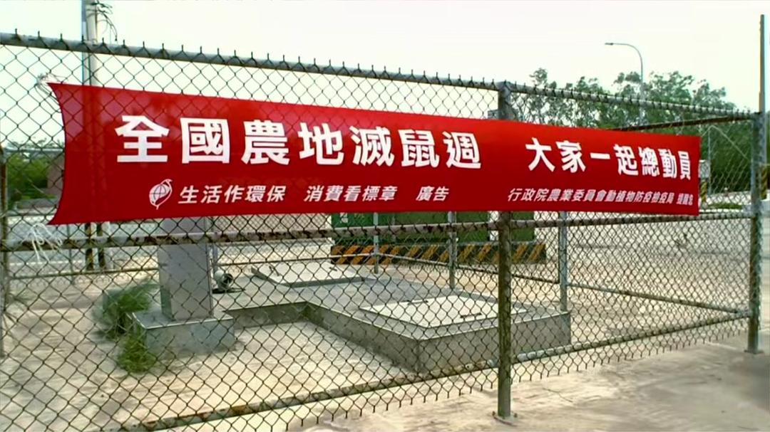 老鹰想飞 老鷹想飛