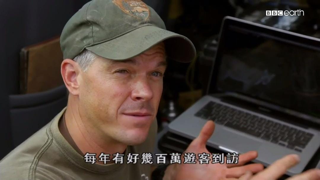 猫科动物的故事 The Story of Cats