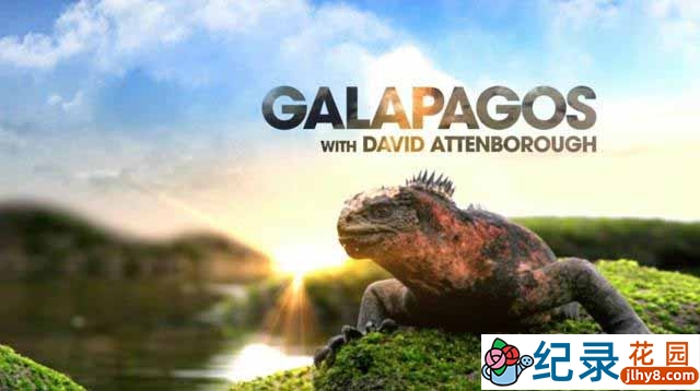加拉帕戈斯自然生态纪录片《细看进化岛 Galapagos with David Attenborough》全3集 720P/1080i高清纪录片百度云下载