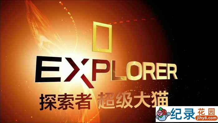 国家地理野生动物纪录片《超级大猫 Super Cat》全5集 720P/1080i高清纪录片百度云