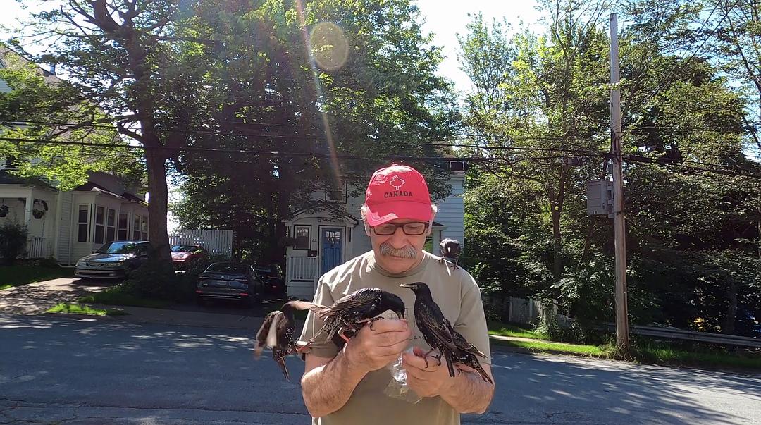 浮生一日2020 Life in A Day 2020