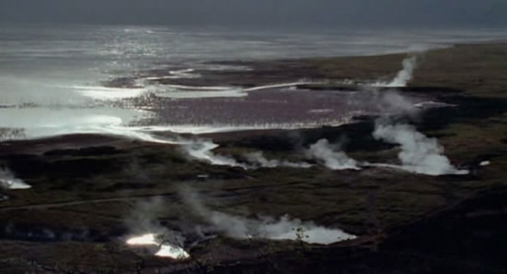 野性非洲 Wild Africa