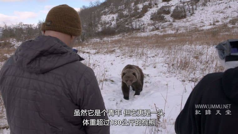 阿拉斯加生存战 Alaska's Grizzly Gauntlet