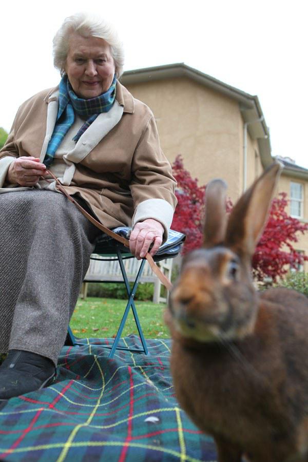 和帕特里夏·劳特利奇一起追寻碧翠丝·波特 Beatrix Potter with Patricia Routledge