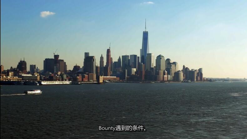 工程灾难 Engineering Disasters