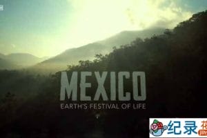 BBC自然生态纪录片《墨西哥:地球上的生命狂欢 Mexico-Earth’s Festival of Life》全3集 720P/1080i高清纪录片资源百度云盘下载