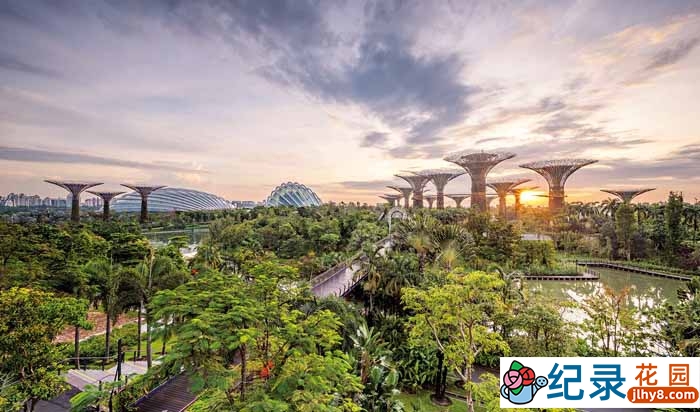 探索频道社会人文纪录片《活力城市新加坡 Living Cities:Singapore》全6集中字 标清纪录片资源百度云盘下载