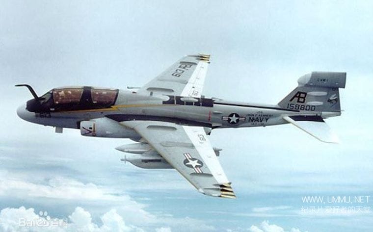 空中武士:徘徊者/咆哮者 Air Warriors: Prowler/Growler