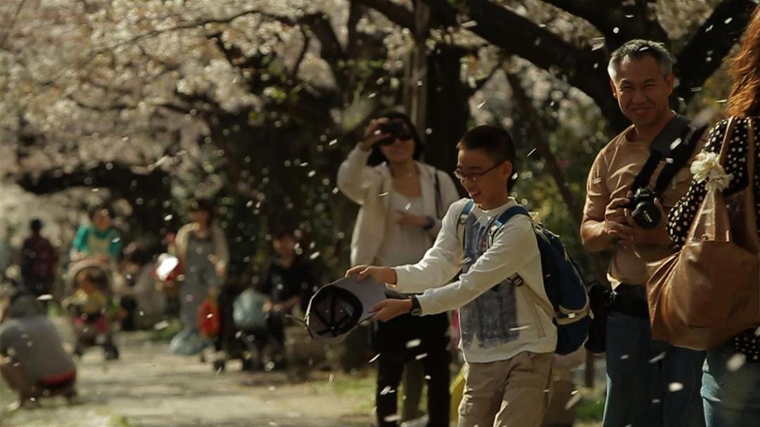 海啸与樱花 The Tsunami and the Cherry Blossom