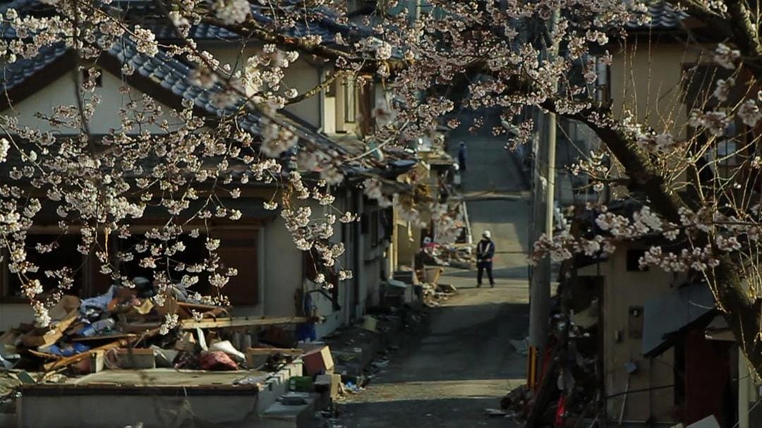 海啸与樱花 The Tsunami and the Cherry Blossom