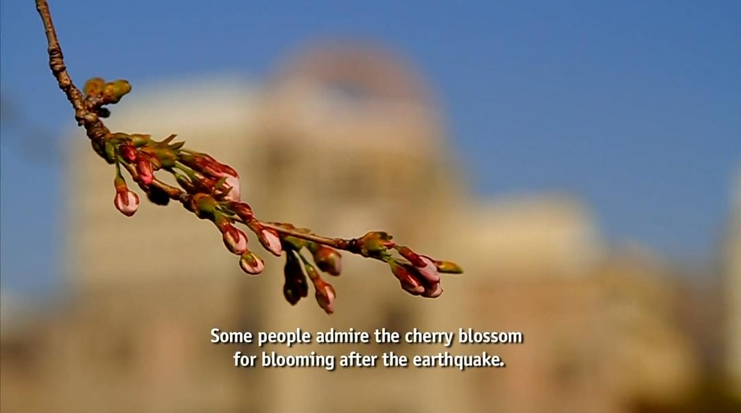 海啸与樱花 The Tsunami and the Cherry Blossom