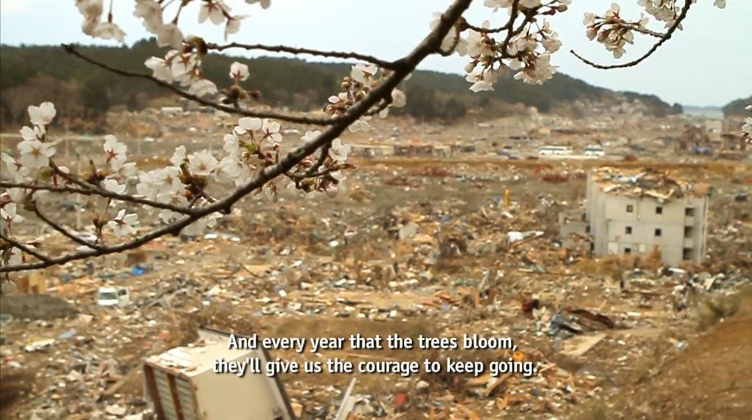 海啸与樱花 The Tsunami and the Cherry Blossom