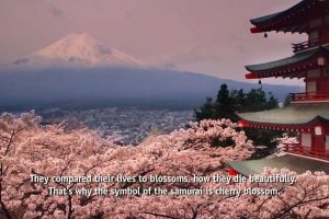 海啸与樱花 The Tsunami and the Cherry Blossom