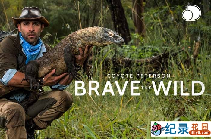 狼叔荒野探险纪录片《野地大胆王 勇敢的狂野》全1季中字 1080P高清自媒体解说素材百度云盘下载
