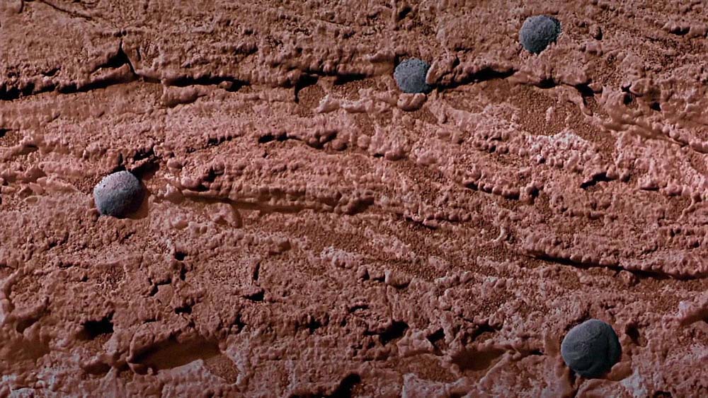 漫游火星 Roving Mars