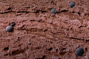 漫游火星 Roving Mars