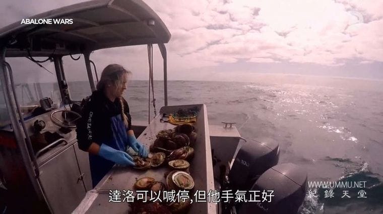 鲍鱼大战 全五季 Abalone Wars