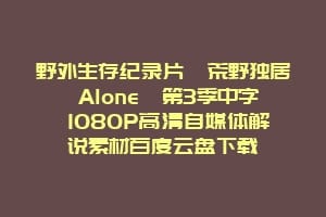野外生存纪录片《荒野独居 Alone》第3季中字 1080P高清自媒体解说素材百度云盘下载