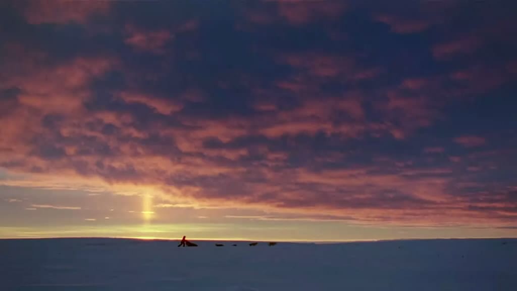 最后的猎人 Le dernier trappeur