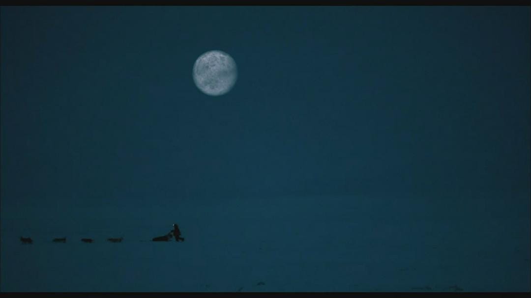 最后的猎人 Le dernier trappeur