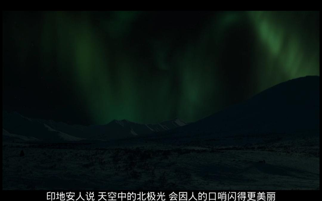 最后的猎人 Le dernier trappeur