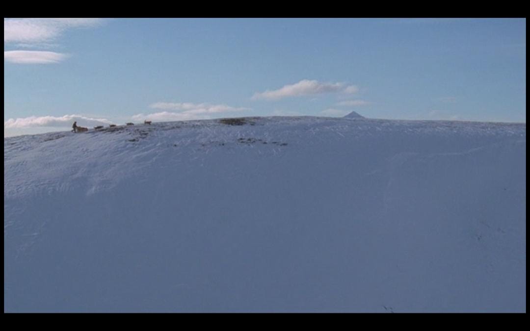 最后的猎人 Le dernier trappeur