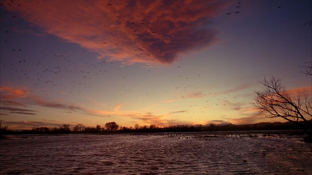 飞行的魔力 The Magic of Flight