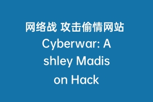 网络战 攻击偷情网站 Cyberwar: Ashley Madison Hack