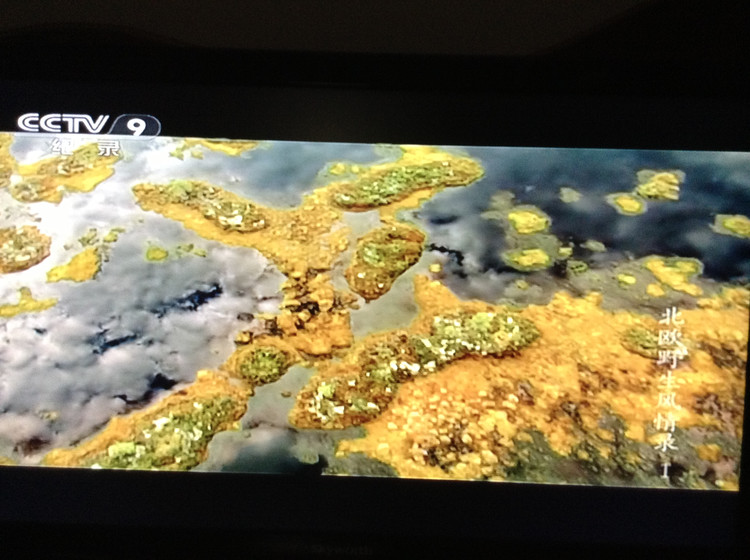 北欧野生风情录 Nordic Wild