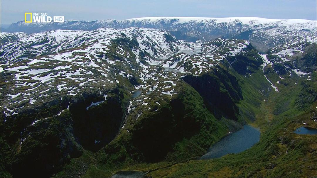 北欧野生风情录 Nordic Wild