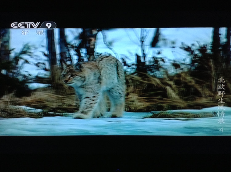 北欧野生风情录 Nordic Wild