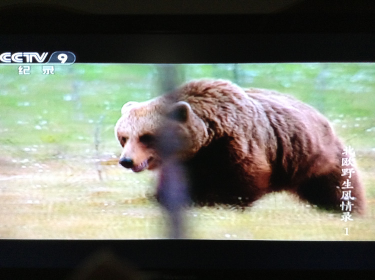 北欧野生风情录 Nordic Wild