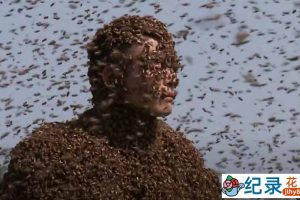 吉尼斯世界纪录真人秀《全球奇人之最》第7季中字 1080高清纪录片解说素材百度云盘下载