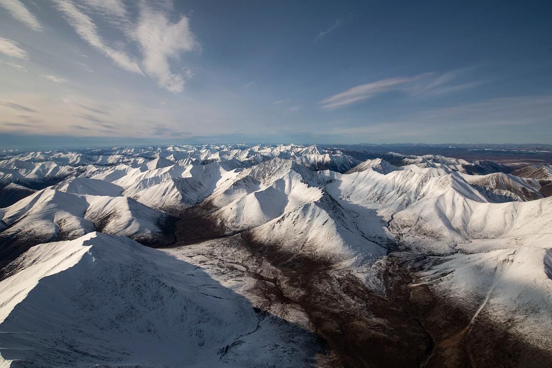地球上的一年 A Year on Planet Earth