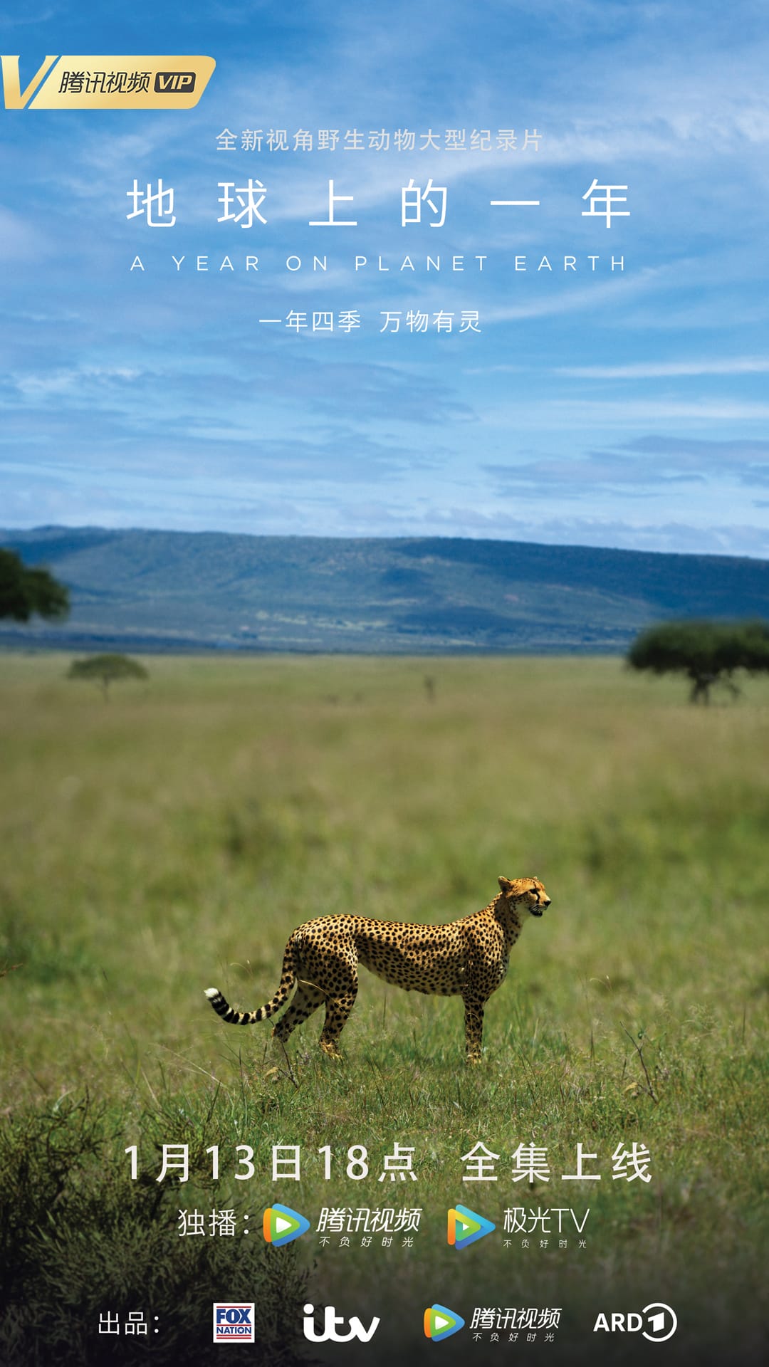 地球上的一年 A Year on Planet Earth