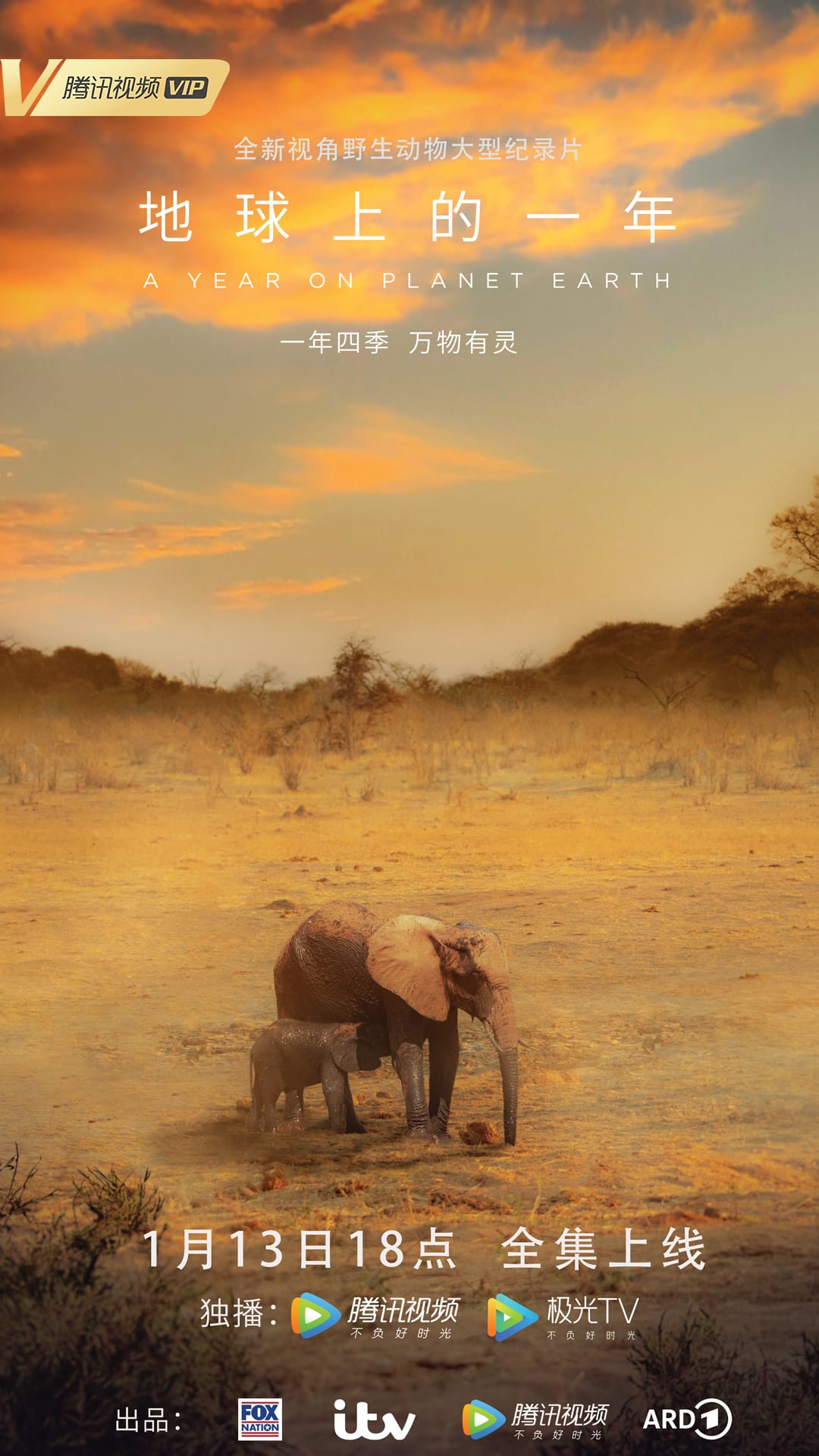 地球上的一年 A Year on Planet Earth