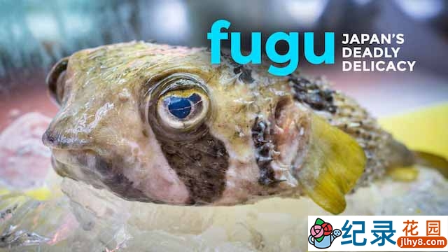 美食纪录片《河豚：一种渴望的味道 FUGU:A Taste to Die For》全1集 720P/1080i高清纪录片资源百度云盘下载
