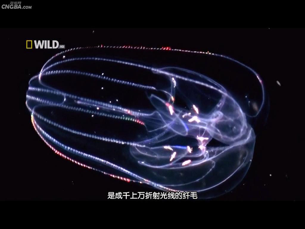 奇形怪物  World's Weirdest